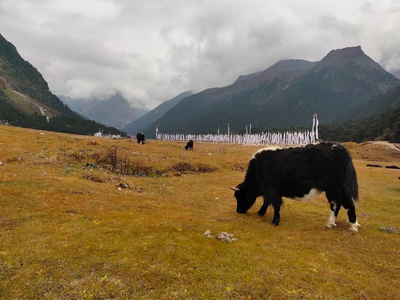 Yumthang, Sikkim. India Neil Island, Andaman and Nicobar Islands