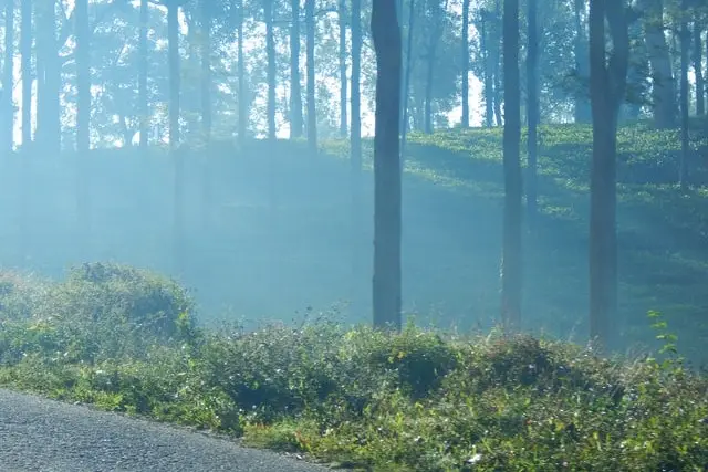 Bandipur, Karnataka, India
