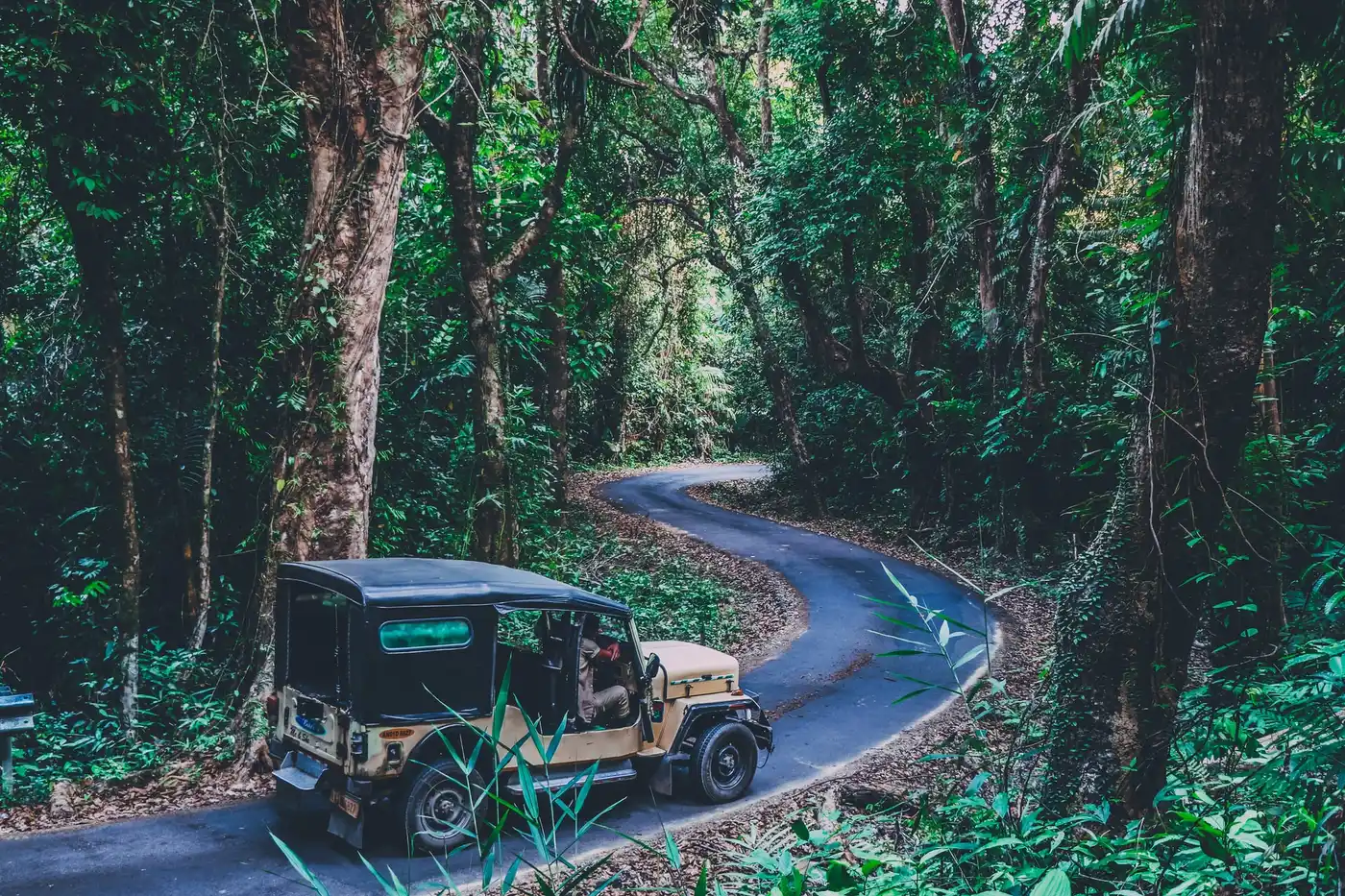 Mount Harriet National Park, Port Blair, India