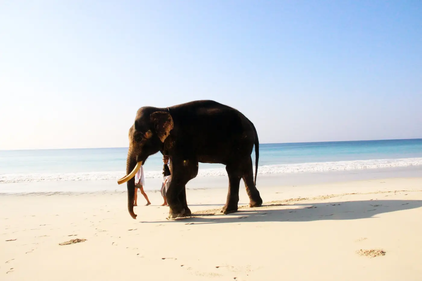 Corbyns Cove Rd, Chakargaon, Carbyns Cove, Port Blair, Andaman and Nicobar Islands 744112, India