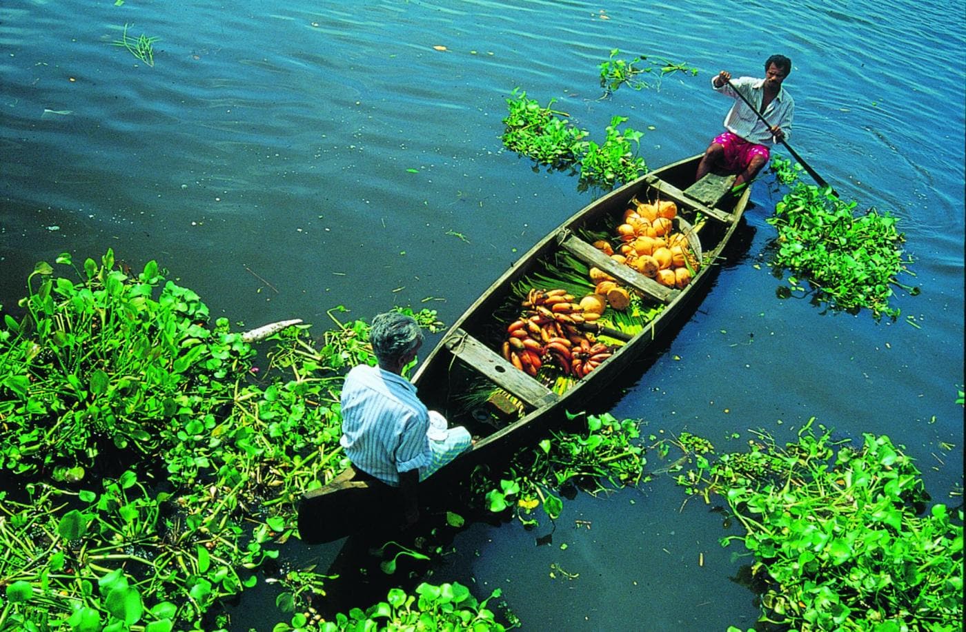 Kerala Kerala
